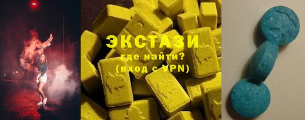 ECSTASY Богородицк