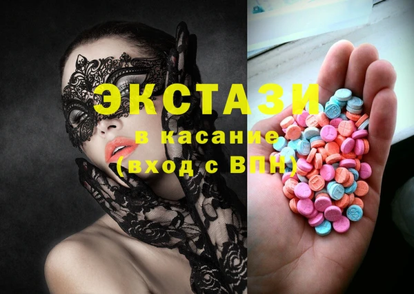 ECSTASY Богородицк